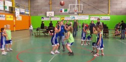 match basket lucas 059
